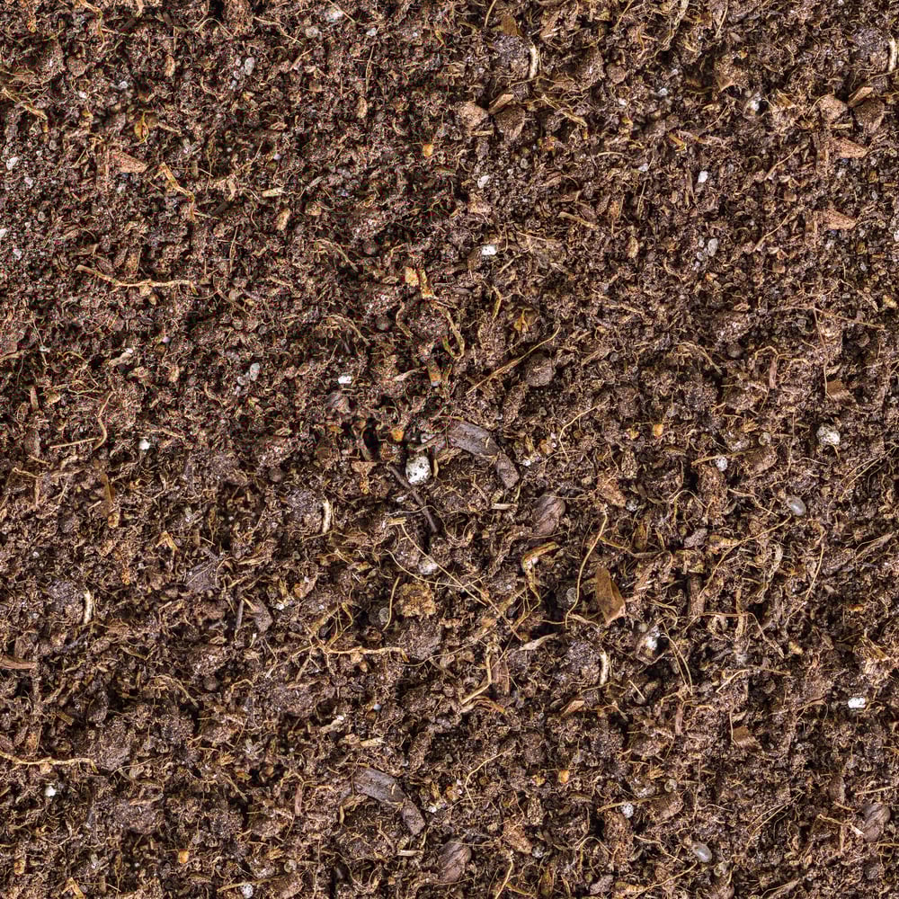 Maximizing Your Hydroponic Harvest What to Do with Plant Waste Like Roots